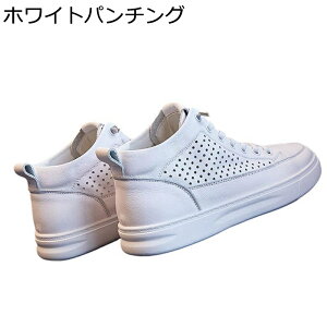 nCJbg fB[X Xj[J[ [XAbvV[Y vC  ҂ݏグ y EH[LOV[Y ^C h ~ Ռz _炩 tH s gx ʊw ItBX