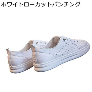 nCJbg fB[X Xj[J[ [XAbvV[Y vC  ҂ݏグ y EH[LOV[Y ^C h ~ Ռz _炩 tH s gx ʊw ItBX