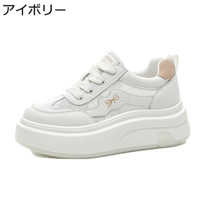 C fB[X _bhXj[J[ [XAbvV[Y ʋ [X IV y X|[cV[Y JWA ϋv ϊ ϖՐ _ ʔNKp s gx ʊw ItBX