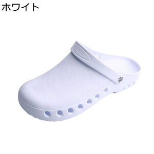  i[XV[Y Y fB[X p  NbO 2way JWAV[Y y @p d  ʋC ɂ ₷  ʋΒʊw 풅p U lGKp