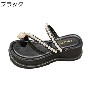 T_ fB[X T_ 芴 ʋC r p[   I[vgD RۖhL gAbv r[` EH[LO fC[  U JWA ėp ϖ