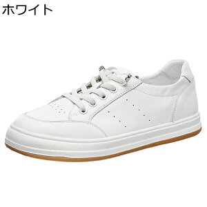 Xj[J[ fB[X JWAV[Y  y ϖ ʋC h [XAbvV[Y C JWA tbg ₷  ʋΒʊw 풅p U f[g tďH