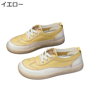  fB[X _bhXj[J[ [XAbvV[Y U[ 傫TCY IV y EH[LOV[Y ^C tbg h h ₷ tďH o W[ g