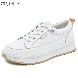 Xj[J[ fB[X JWAV[Y  y U[ h ~ Ռz [XAbvV[Y C ₷ Vv ig AEghA EH[LO tďH