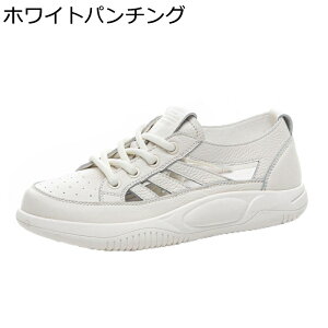 Xj[J[ T}[T_ vC fB[X X|[cV[Y p`OH y ϖ ʋC h [XAbvV[Y  \tg Vv EH[LO X|[c W[p 