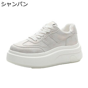  fB[X Xj[J[ [XAbvV[Y  Gi y EH[LOV[Y ^C tbg h NbV  EȒP RtH[g lGKp ʊw  s