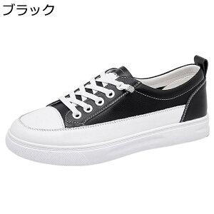 C fB[X _bhXj[J[ [XAbvV[Y t@bV y EH[LOV[Y ^C tbg ʋC h EȒP RtH[g ʔNKp ʋΒʊw 풅p f[