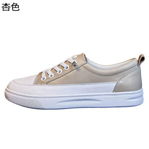 C fB[X _bhXj[J[ [XAbvV[Y t@bV y EH[LOV[Y ^C tbg ʋC h EȒP RtH[g ʔNKp ʋΒʊw 풅p f[