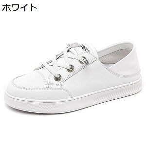 Xj[J[ fB[X EH[LOV[Y 킢 Ɠ߂ vC U[ y h y h [XAbvV[Y  ₷ Vv nCLO X|[c W[p t