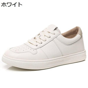 Xj[J[ fB[X X|[cV[Y  r y U[ h ~ Ռz [XAbvV[Y C _炩 Vv d p o fC[ ʔNKp