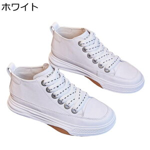 nCJbg fB[X Xj[J[ [XAbvV[Y U[  r y X|[cV[Y JWA tbg h ҂ݏグ  Ȑ tďH nCLO X|[c W[
