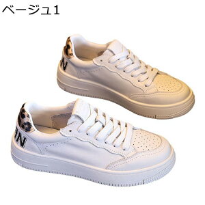 C fB[X Xj[J[ [XAbvV[Y ^ U[ 킢 y X|[cV[Y JWA tbg ϖ ʋC h _炩 tH ʊw  i s