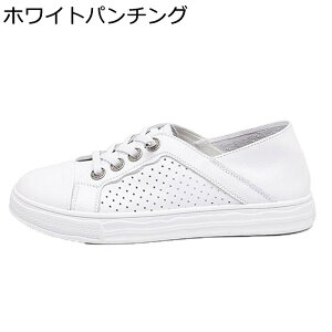 Xj[J[ Ɠ߂ fB[X JWAV[Y 킢 y h ~ Ռz [XAbvV[Y Ȑ tBbg  ʋΒʊw 풅p U f[g ʔN