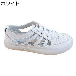 C fB[X _bhXj[J[ [XAbvV[Y p`O T_ IV y X|[cV[Y JWA tbg h y h _炩 ʔNKp o W