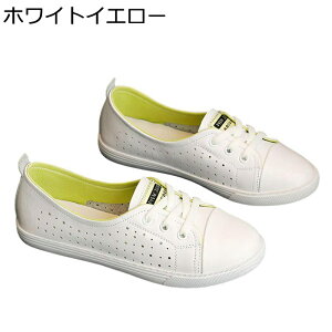 Xj[J[ fB[X  X|[cV[Y r Vv U[ y h ~ Ռz [XAbvV[Y  _  d p o fC[ lGKp