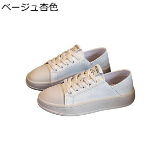 _bhXj[J[ fB[X JWAV[Y Ɠ߂ U[  y h ~ Ռz [XAbvV[Y  Ȑ Vv ʋ ʊw i s ʔNK