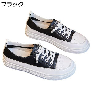 Xj[J[ [XAbvV[Y   fB[X r y EH[LOV[Y ^C tbg h NbV  \tg lGKp ʋΒʊw 풅p JWA f[g