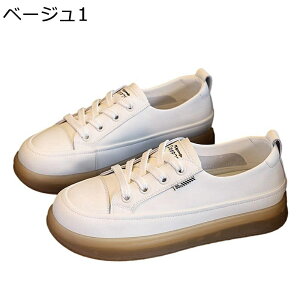  fB[X _bhXj[J[ [XAbvV[Y  S\[ IV y EH[LOV[Y ^C tbg ʋC ɂ _ ʔNKp ʊw  i 