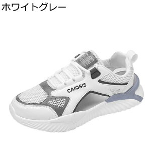 X|[cT_  Y AEghA r[`  h JWA Xj[J[ ϋv ₷ K ʋC y T{T_ hCo[YV[Y  NC~O s