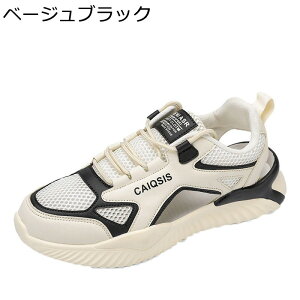 X|[cT_  Y AEghA r[`  h JWA Xj[J[ ϋv ₷ K ʋC y T{T_ hCo[YV[Y  NC~O s