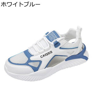 X|[cT_  Y AEghA r[`  h JWA Xj[J[ ϋv ₷ K ʋC y T{T_ hCo[YV[Y  NC~O s