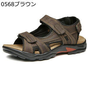 Y r[`T_ AEghA RtH[g h JWA ϋv ʋC ₷ K y hCrOV[Y ėp EH[LO  rWlX i TCY