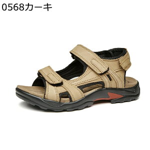 Y r[`T_ AEghA RtH[g h JWA ϋv ʋC ₷ K y hCrOV[Y ėp EH[LO  rWlX i TCY