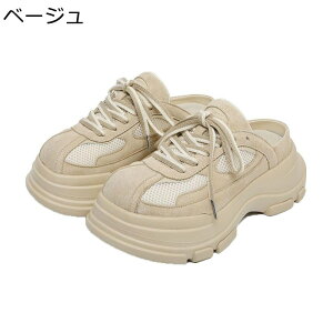 X{[cT_ T{T_ V[Y jZbNX Ȃ  gAbv bV  Ȃ AEghA RtH[g _炩 gh x[VbN ʊw  LpX 