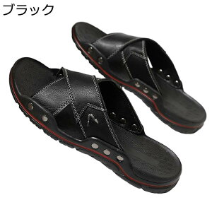 XChT_ Y Xbp AEghAT_ h VRv  Snǂ ʋC EȂ ~ y zhL  K[fjO  lC ʊw p C  