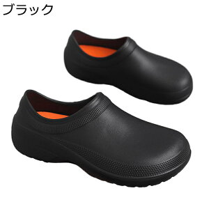 NbOT_ Y T{T_ EVA r[T h  _炩 ϋv ʋC AEghA ₷ ɂ y    EH[LO ʊw p C