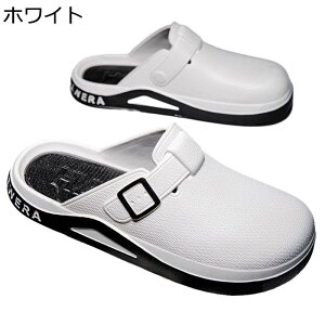 NbOT_ XChT_ Y r[T  gAbv h  Snǂ ʋC AEghA ₷ ɂ y   K[fjO  lC ʊw