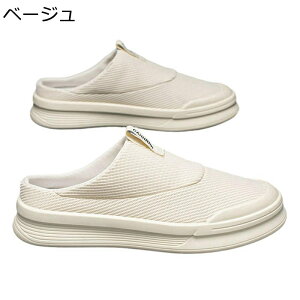 X{[cT_ AEghAT_ Y zhL JbR Ȃ ʋC ʊw  EȂ LpX Ȃ ϋv Ռz ~  JWAV[Y Xb|