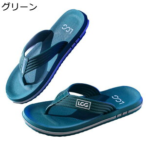 gOT_ [V[Y r[T Y EVA _炩 @ Snǂ ɂȂ y ʋC Ȃ JWA Ȃ h Xbp gC V[ 