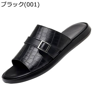 X|[cT_ rWlXT_ r[T Y  Ȃ _炩 RtH[g Ռz hL ɂ ϋv c[O ~ Xj[J[ r[` Ōt 