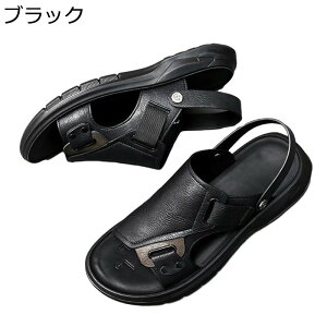 YT_ r[T {v ƕt 2way O U[ Xbp RtH[g JWA IV Ȃ ₷ hCo[T_ ItBX jp ʋΒʊw C U 