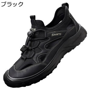 T_ Y X|[cT_ ėp AEghA oR EH[LO R 񂾂 Ռz  ʋC y h ₷   ČC p ʊw ʋ 풅p V