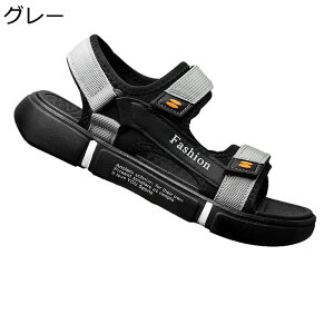 T_ }WbNe[v Y Xgbv r[`T_   Ȃ h ₷ ʋC y Cɋ p hCo[ IV jp  EH[LO Mtg 