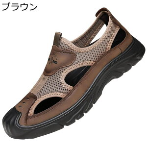 EF[fBOV[Y Y X|[cT_  ʋC bV  C T_ AEghA JWA Oӂ r[`V[Y Xb| h jC ʋ E ^