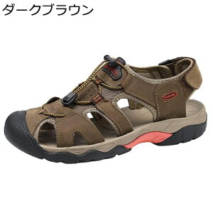 X|[cT_ 29.0cm ?O U[ ܐی Y {v p ėp EH[^[T_ AEghA Xj[J[ y ~ ϏՌ }WbNe[v  J WA L