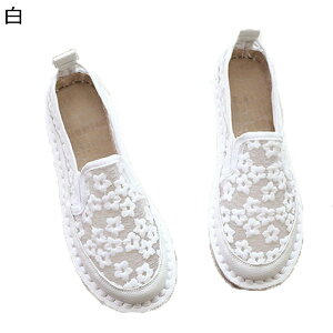 JV hCrOV[Y ԎhJ fB[X GXpV[Y [X  ؂ tC ČC hCrO EȂ Vv ʋC  y tbg vbgtH[