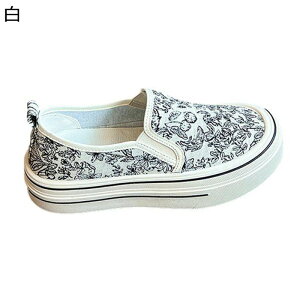 fB[X ԕ EH[LOV[Y fbLV[Y JoX JV u₩ \tg JWA t@bV GXph[}}  y^RC GXph[ʋΒʊw