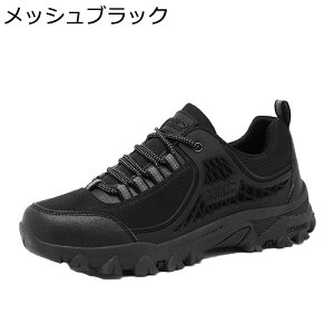 SC Xj[J[ [Jbg Y  gbLOV[Y ƌC y [XAbv ʋC  h 傫TCY R ނ gbLO Q[ oR ^NeBJ ToQ[