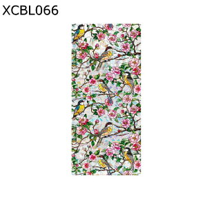 KXtB fMtB Cm  p KXɓ\XebJ[ ĕ KX Ȃ  œ\邾 ډBV[g 悯 uvJbg ΍ oX C 