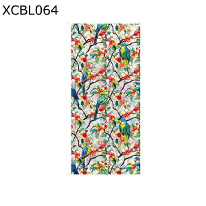 KXtB fMtB Cm  p KXɓ\XebJ[ ĕ KX Ȃ  œ\邾 ډBV[g 悯 uvJbg ΍ oX C 