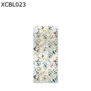 KXp KX ʂ̉ԕ ډBV[g XehOX  tB A ĕ C{[ KXtB UVJbg O猩Ȃ  œ\  Rh~ 