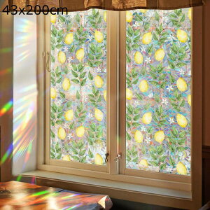 ptB ߂V[g  ʕ ɂF ډB  XehOX A œ\邾 O猩Ȃ KX Ód\ Ռ vCoV[ی Ȃ S 