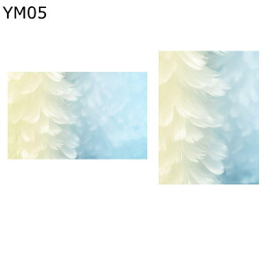 fMtB p H O猩Ȃ KX \Ă͂ ƒItBXpډBV[g œ\邾 ډBV[g Ռ KX C  rO  V Vzj