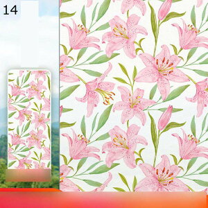 KXV[g ډB ԕ KN fCW[ o œ\邾 O猩Ȃ Y KX Ódz 悯 uvJbg ΍ vCoV[ی Ȃ S  fMtB 