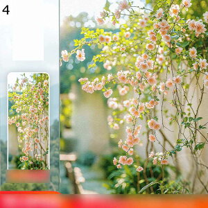 ptB ډBtB hƃtB Ȃ ՂȂ œ\ fMtB Ódy[Xg S  ΍ՔM ΍ OJbg KXV[g ݑ i