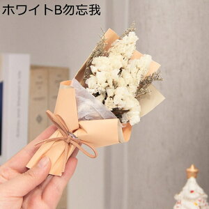 JX~ v[gt[u[P ~j[ tFCNt[  LO hV̓ ̂ ͂Ȃ    Mtg NX}X T}[Mtg ޏւ̑蕨 